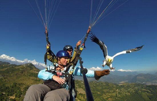 Paragliding Adventure